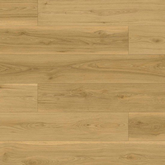 Fuzion FuzGuard - Glendale